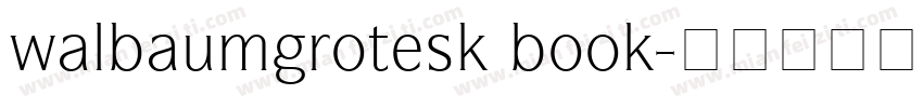 walbaumgrotesk book字体转换